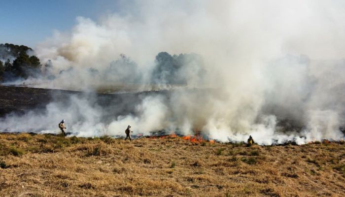 Foto: Mariano Gomes Bombeiros alertam: fogo em terrenos baldios pode causar grandes incêndios